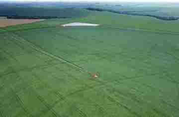  Plantio de soja avança no Paraná e já cobre 1,3 milhão de hectares, 22% da área prevista